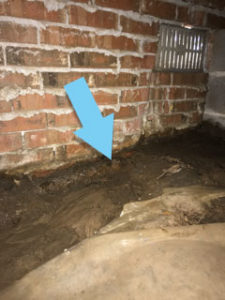 Standing Water In Crawlspace