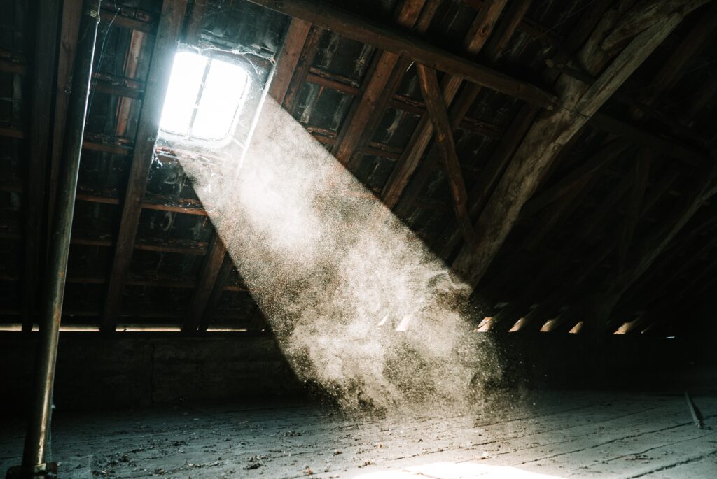 Attic Dust